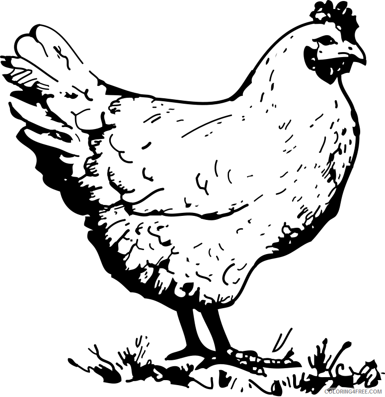 Black and White Chicken Coloring Pages chicken food png 119 Printable Coloring4free