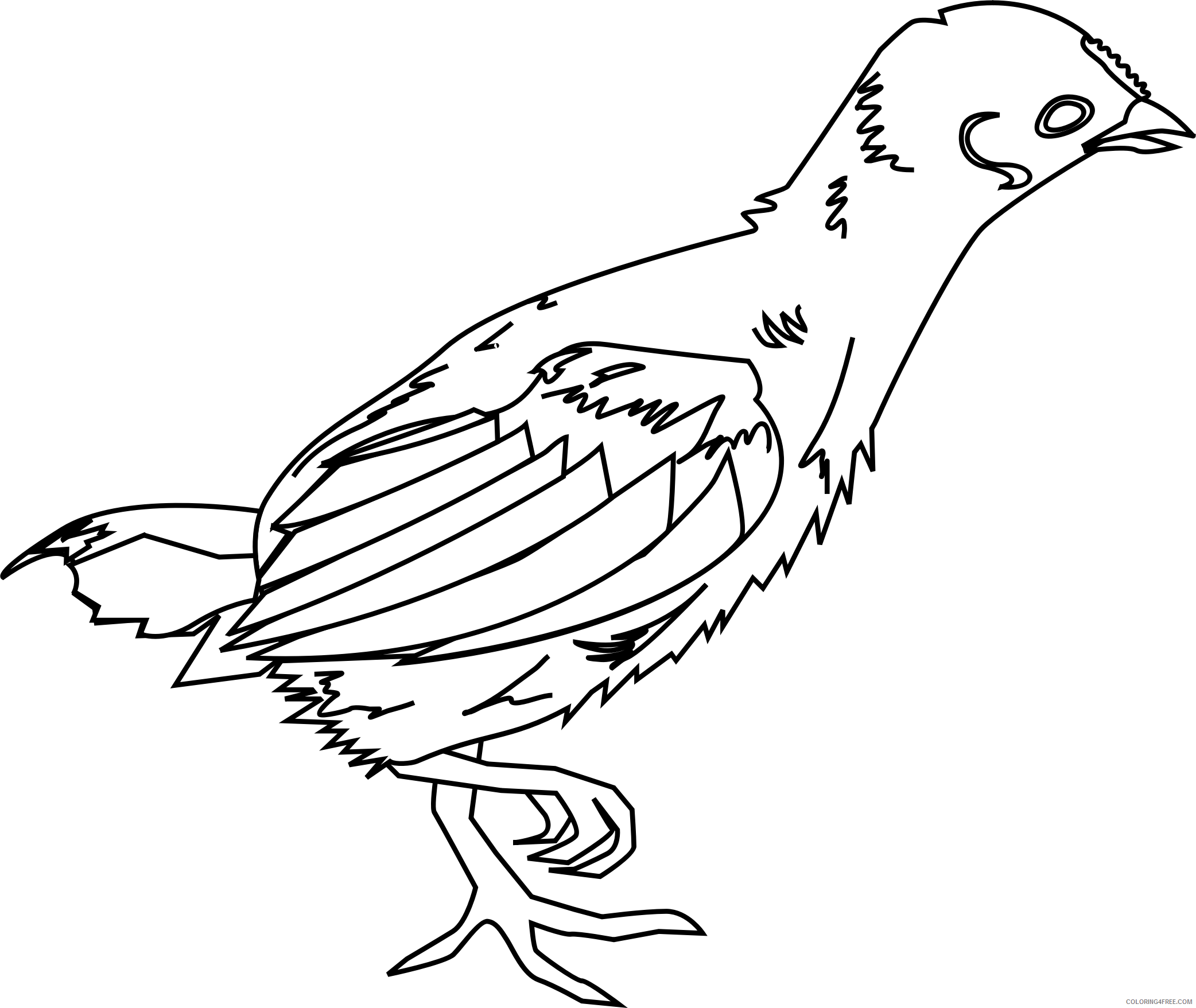 Black and White Chicken Coloring Pages little chicken by ridjam Printable Coloring4free
