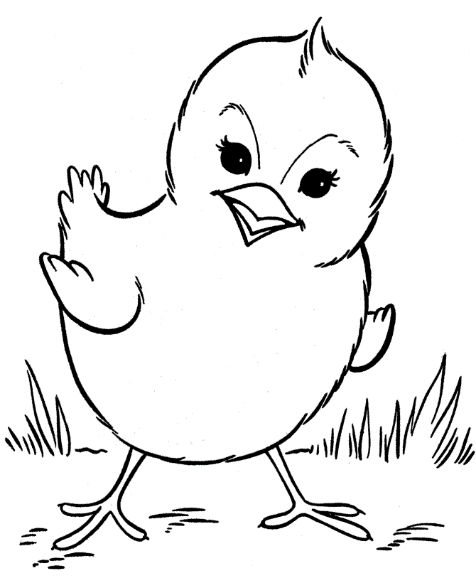 Black and White Chicken Coloring Pages printable chicken for Printable Coloring4free