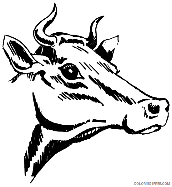 Black and White Cow Coloring Pages share cow with horns clipart Printable Coloring4free