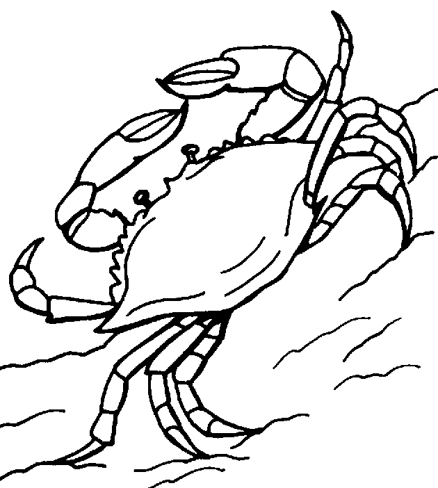 Black and White Crab Coloring Pages crab Printable Coloring4free