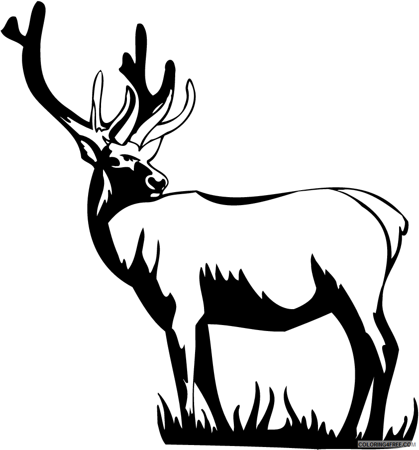Black and White Deer Coloring Pages deer Printable Coloring4free