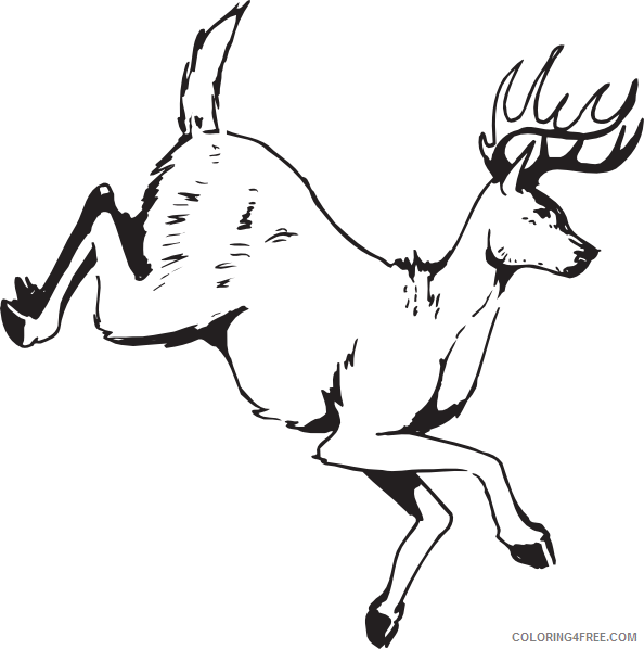 Black and White Deer Coloring Pages deer jumping J5L0Z2 Printable Coloring4free