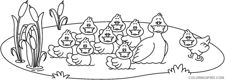 Black and White Duck Coloring Pages ducks qi6k4H jpg Printable Coloring4free