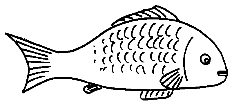 Black and White Fish Coloring Pages Fish Printable Coloring4free