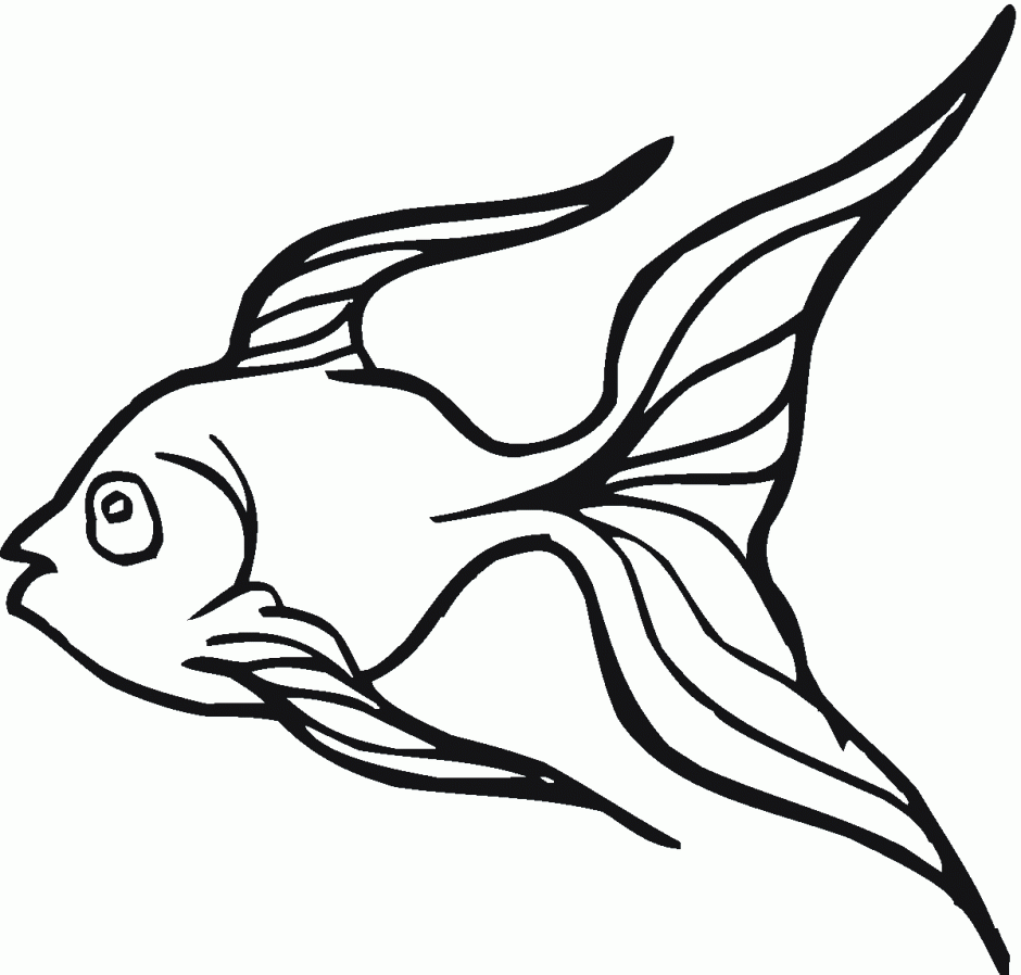 Black and White Fish Coloring Pages fish black and Printable Coloring4free