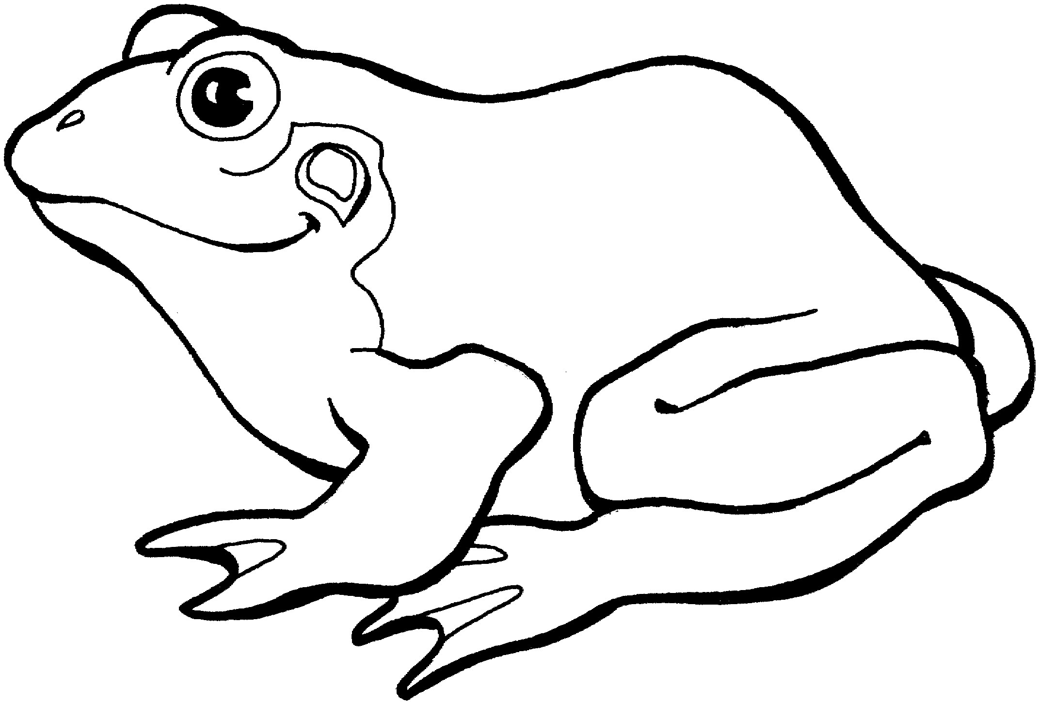 Black and White Frog Coloring Pages frog 124 gif Printable Coloring4free
