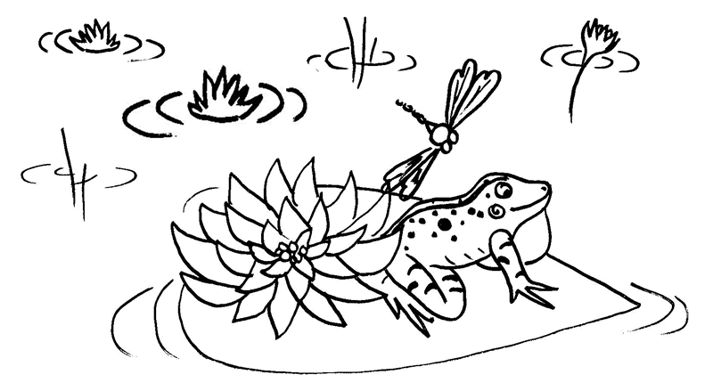 Black and White Frog Coloring Pages return to frog life cycle Printable Coloring4free