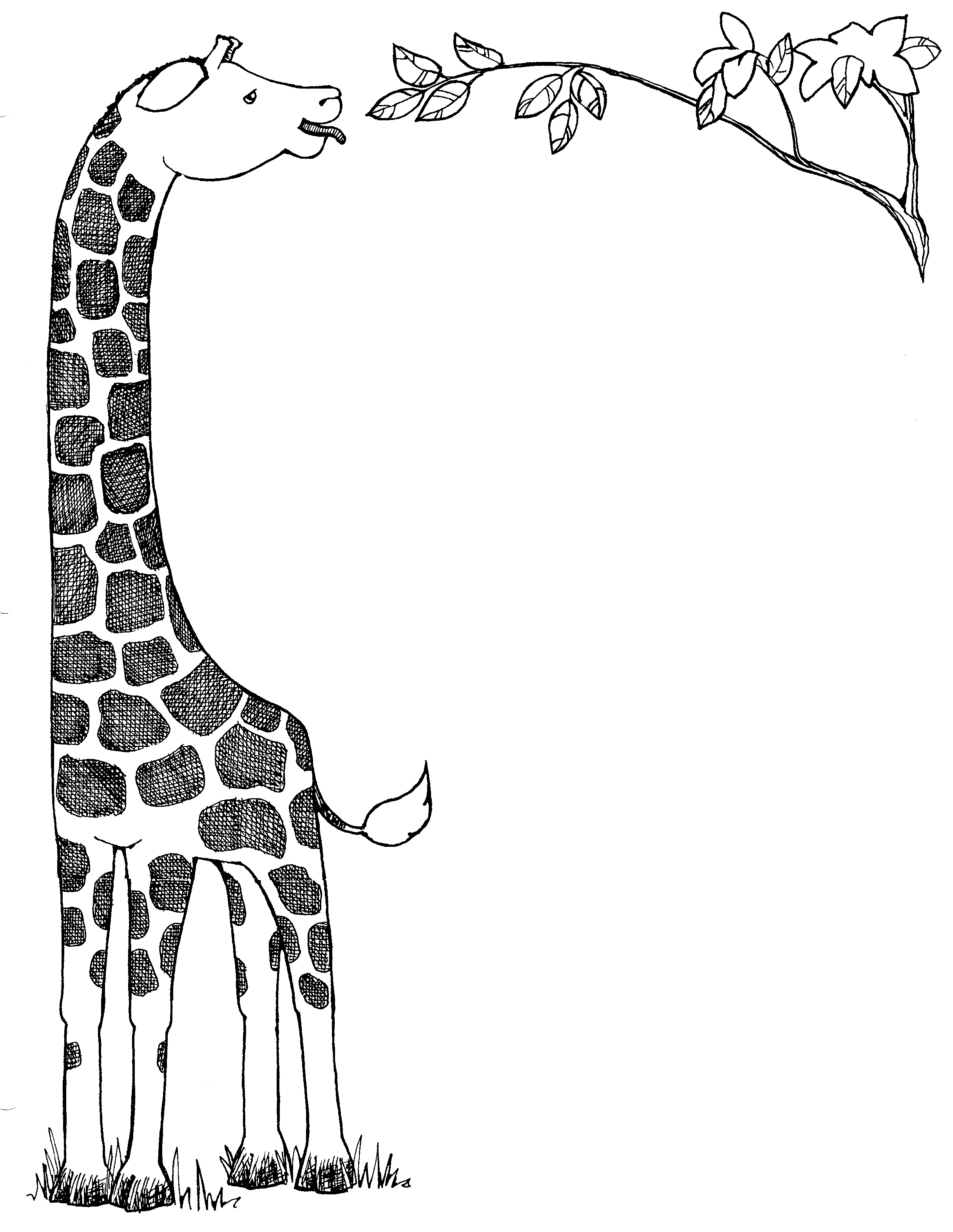 Black and White Giraffe Coloring Pages giraffe 99 gif Printable Coloring4free