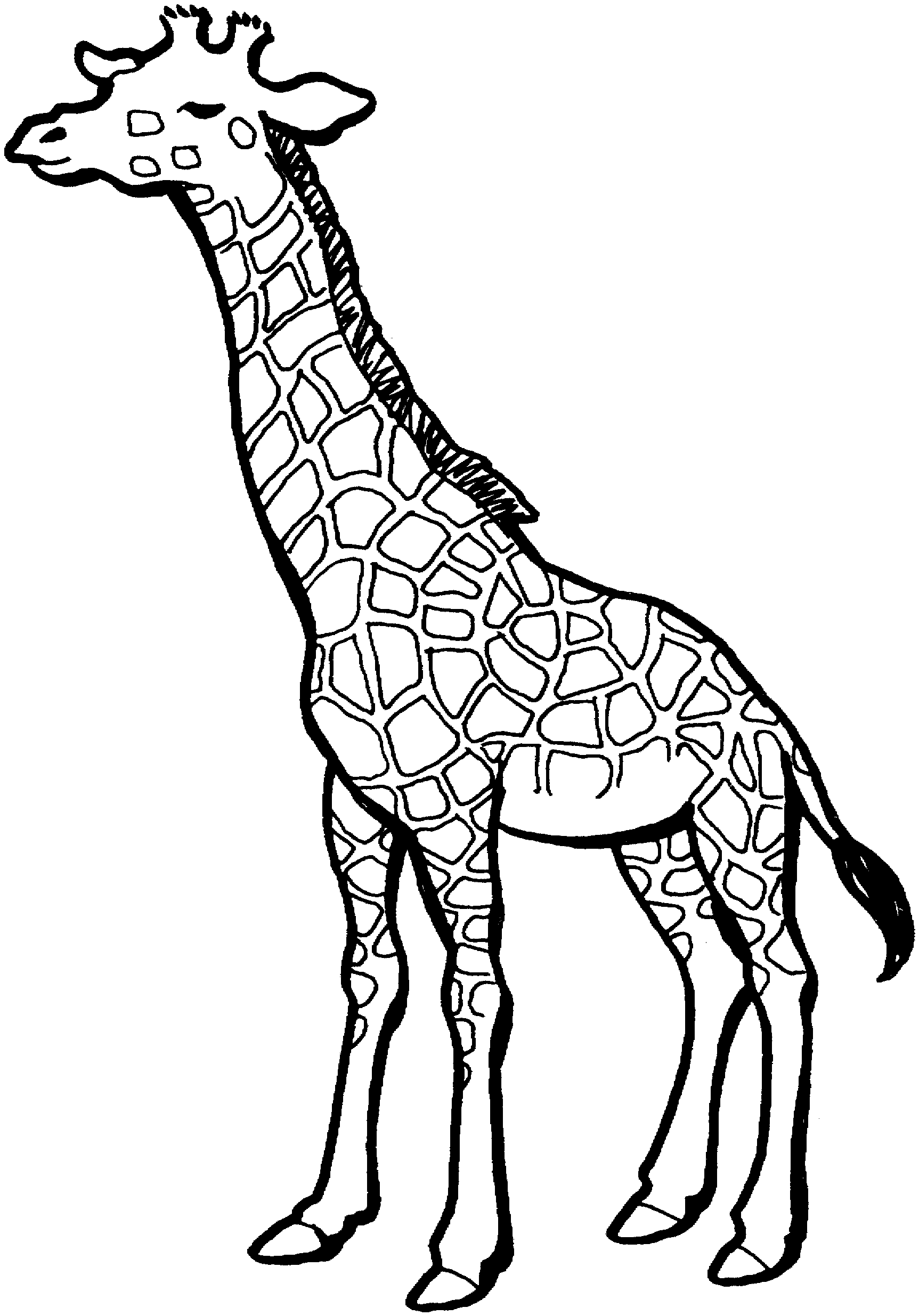 Black and White Giraffe Coloring Pages giraffe black and Printable Coloring4free
