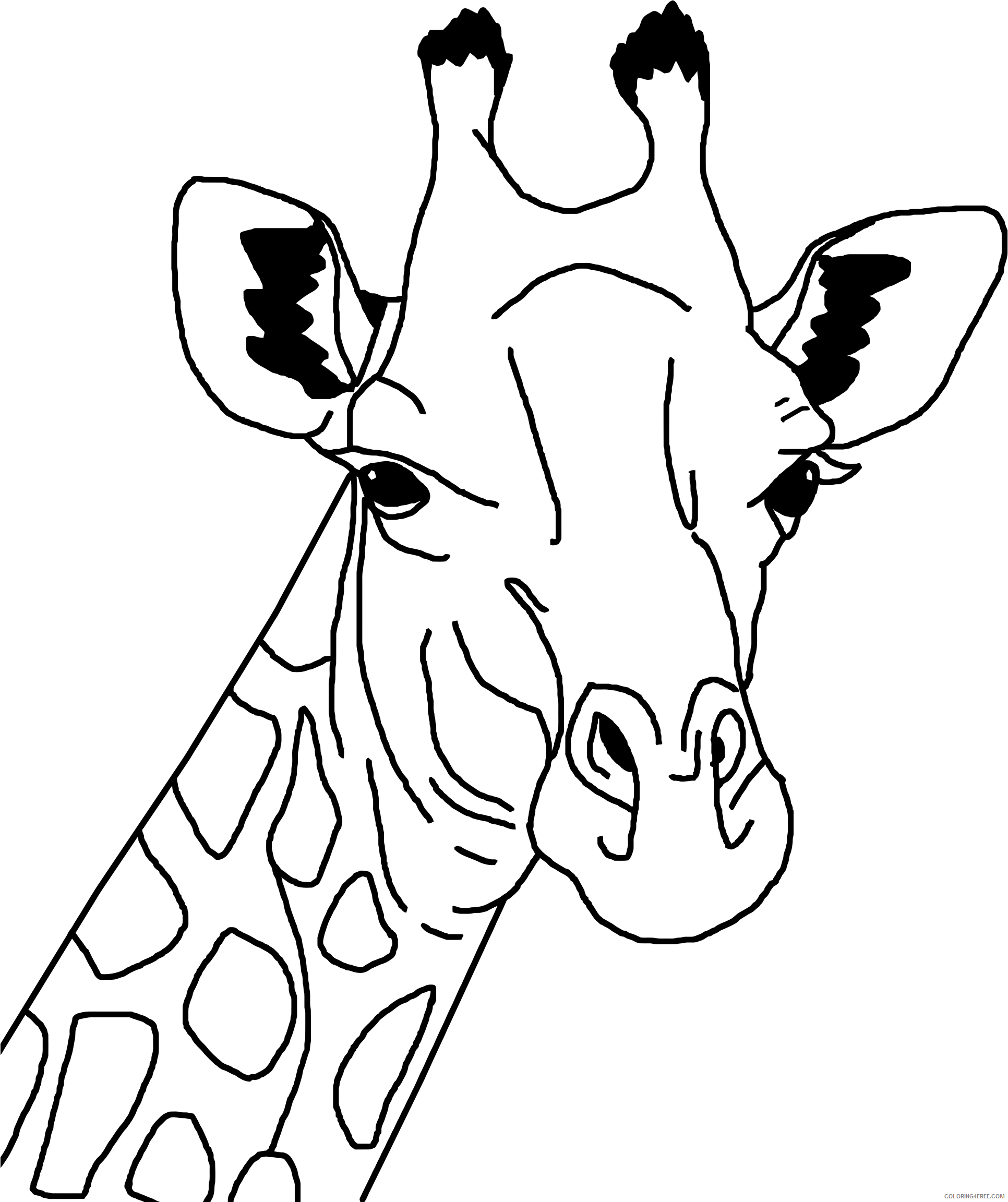 Black and White Giraffe Coloring Pages giraffe line art bpng Printable Coloring4free