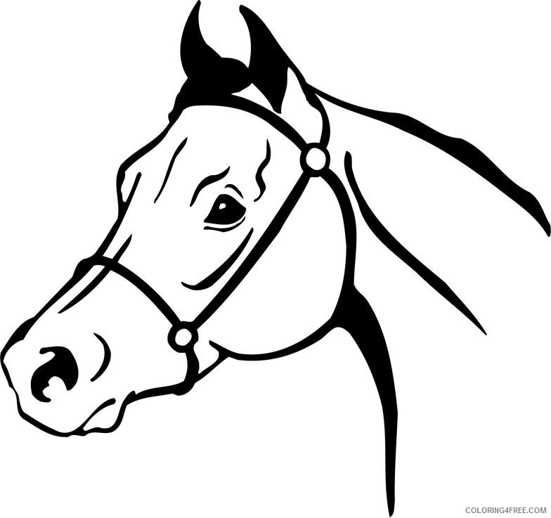 Black and White Horse Coloring Pages horse 13 jpg Printable Coloring4free