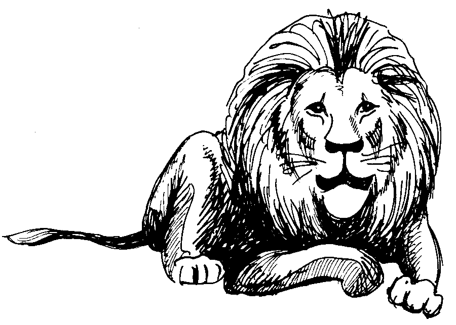 Black and White Lion Coloring Pages line art lion animals Printable Coloring4free