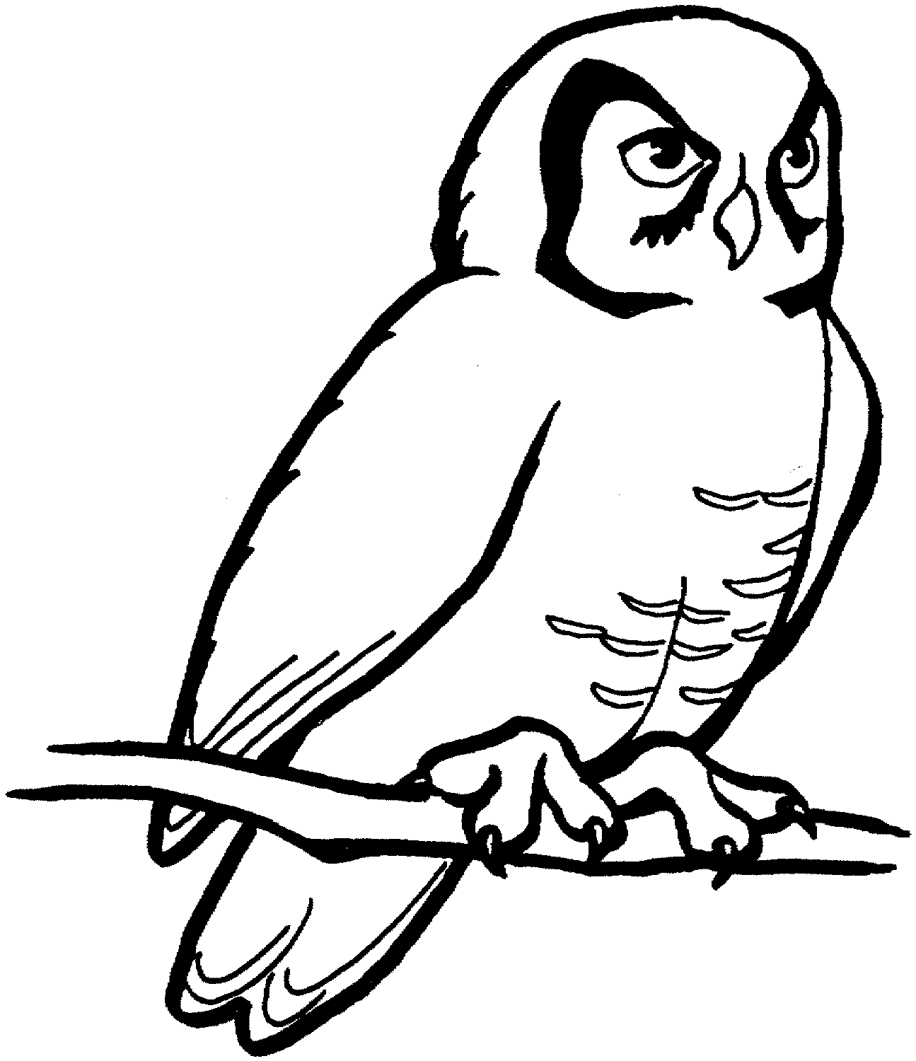 Black and White Owl Coloring Pages owl black and Printable Coloring4free