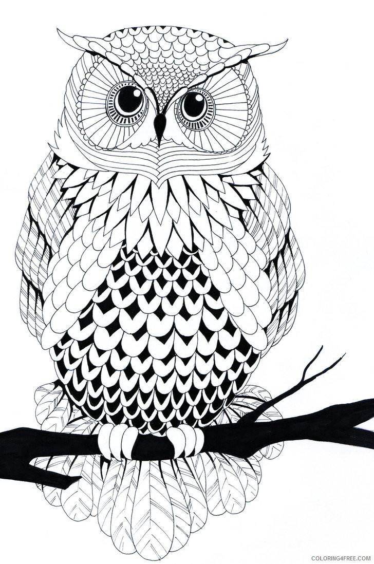 Black and White Owl Coloring Pages owl by Printable Coloring4free