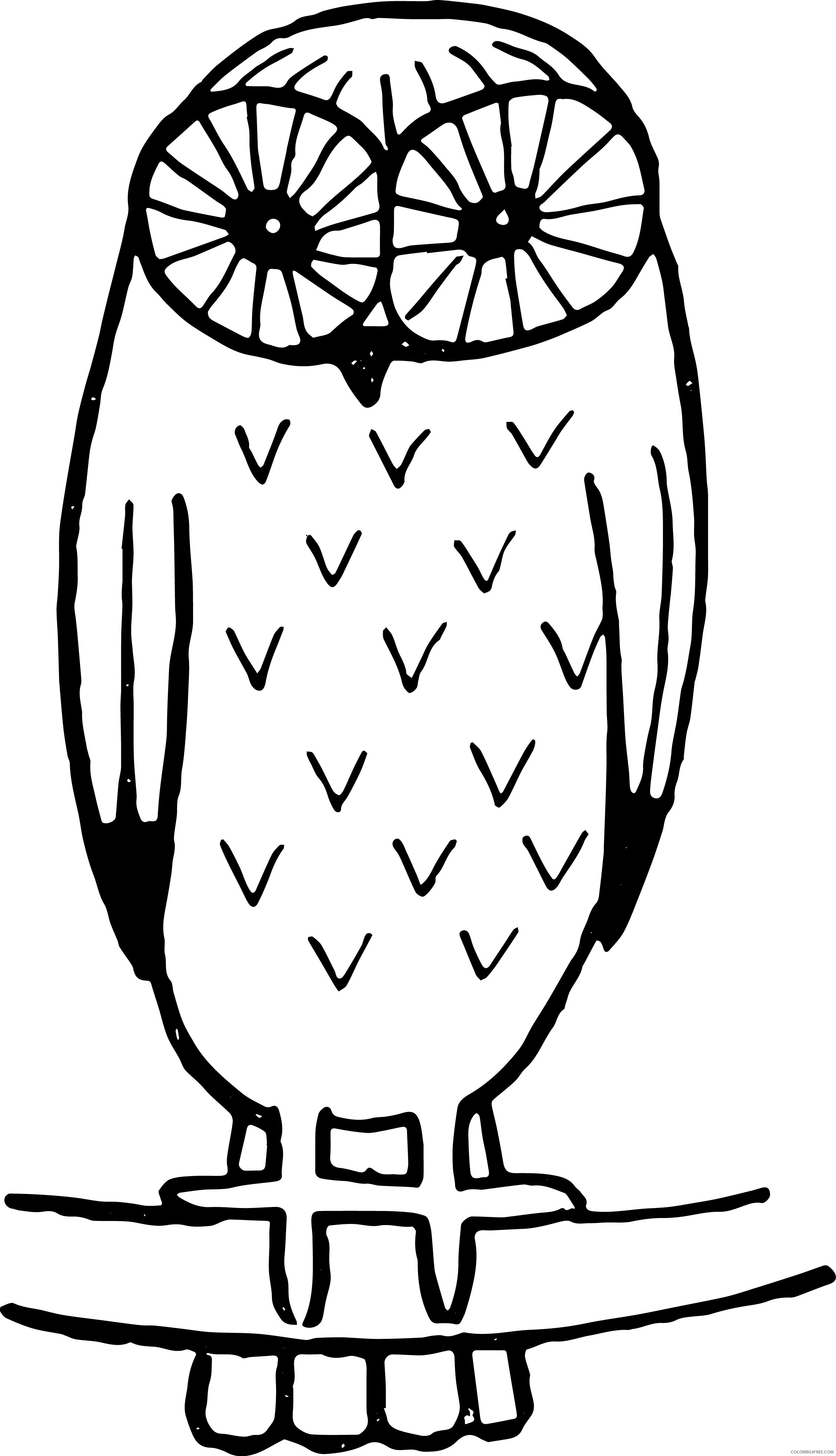 Black and White Owl Coloring Pages owl writing Printable Coloring4free