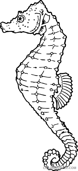 Black and White Seahorse Coloring Pages Free seahorse 1 page Printable Coloring4free