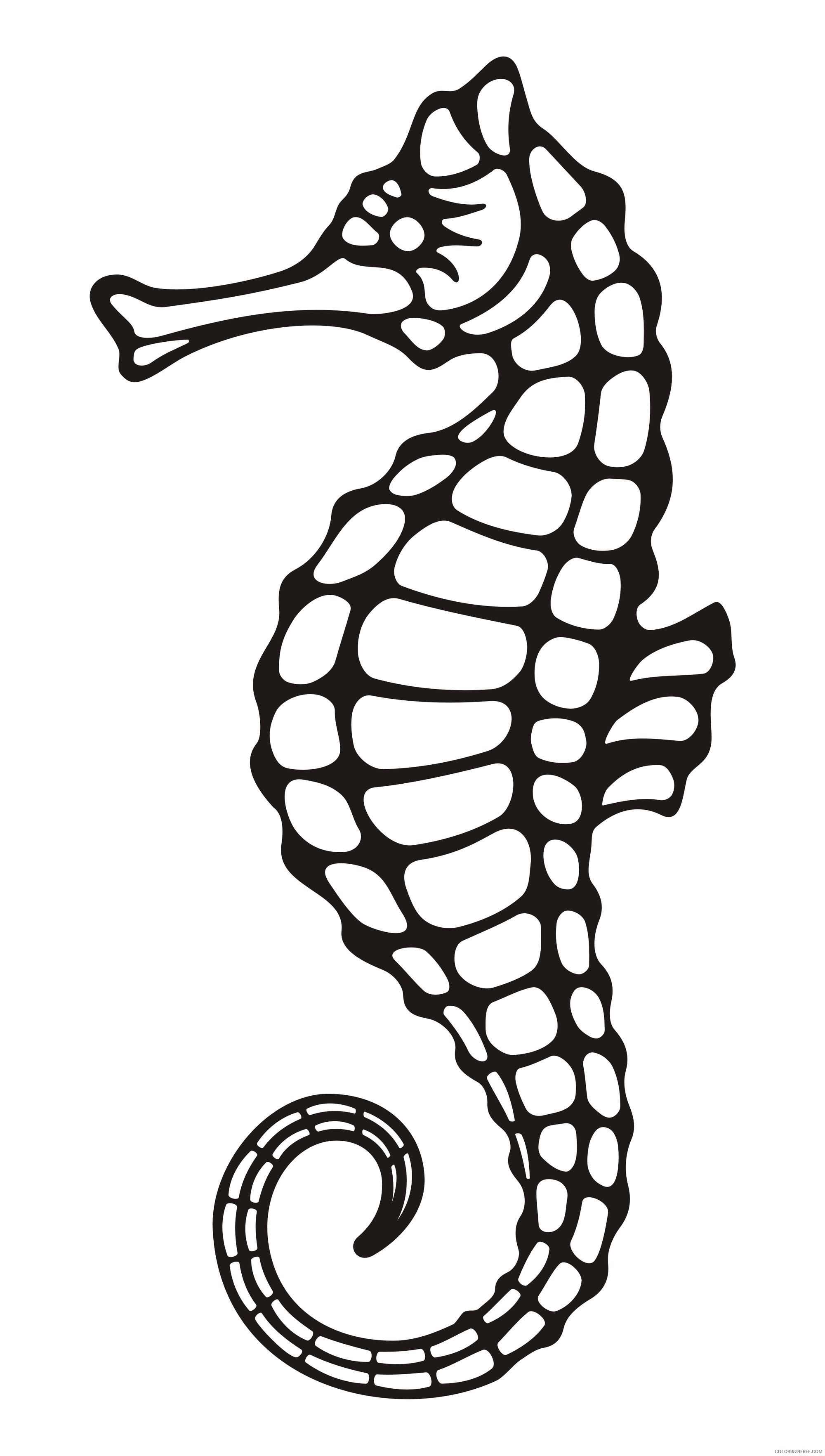 Black and White Seahorse Coloring Pages sea horse drawing ZjBH0g clipart Printable Coloring4free