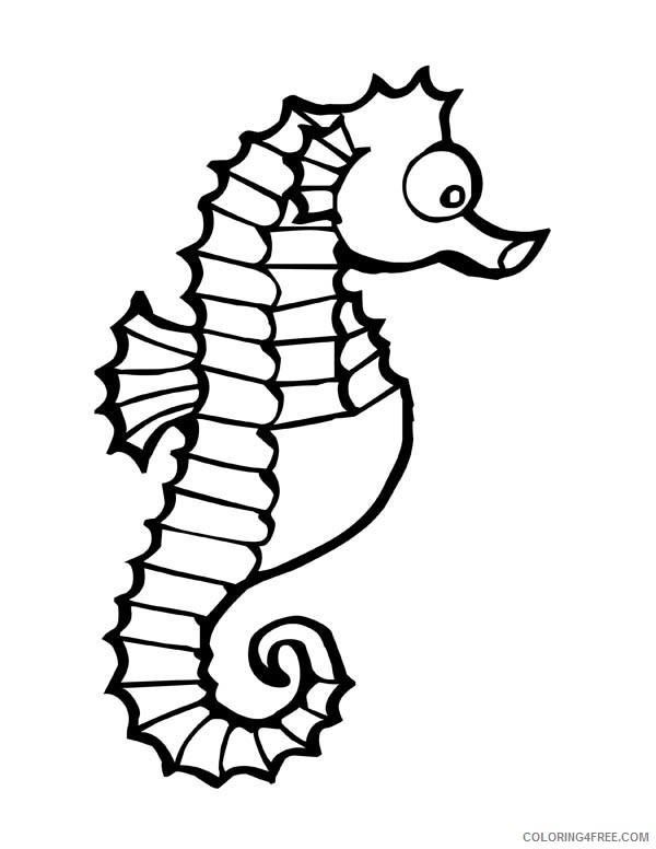 Black and White Seahorse Coloring Pages seahorse 1 Printable Coloring4free