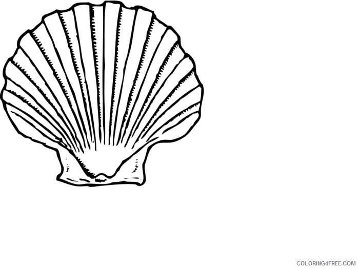 Black and White Seashell Coloring Pages seashell Printable Coloring4free