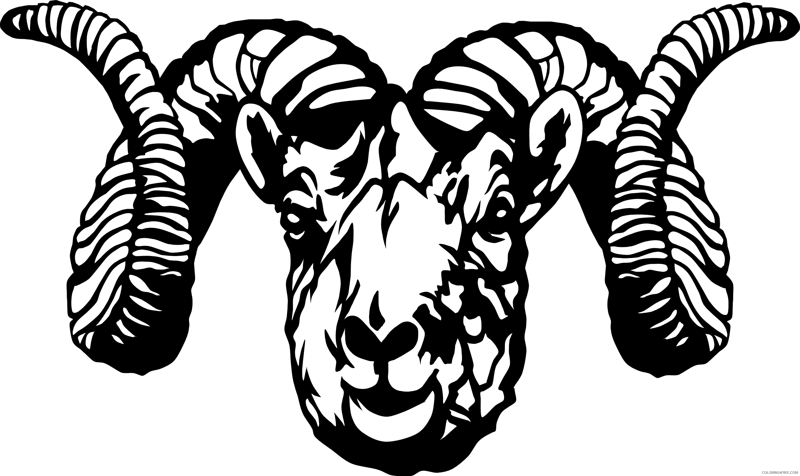 Black and White Sheep Coloring Pages ram dall sheep Printable Coloring4free