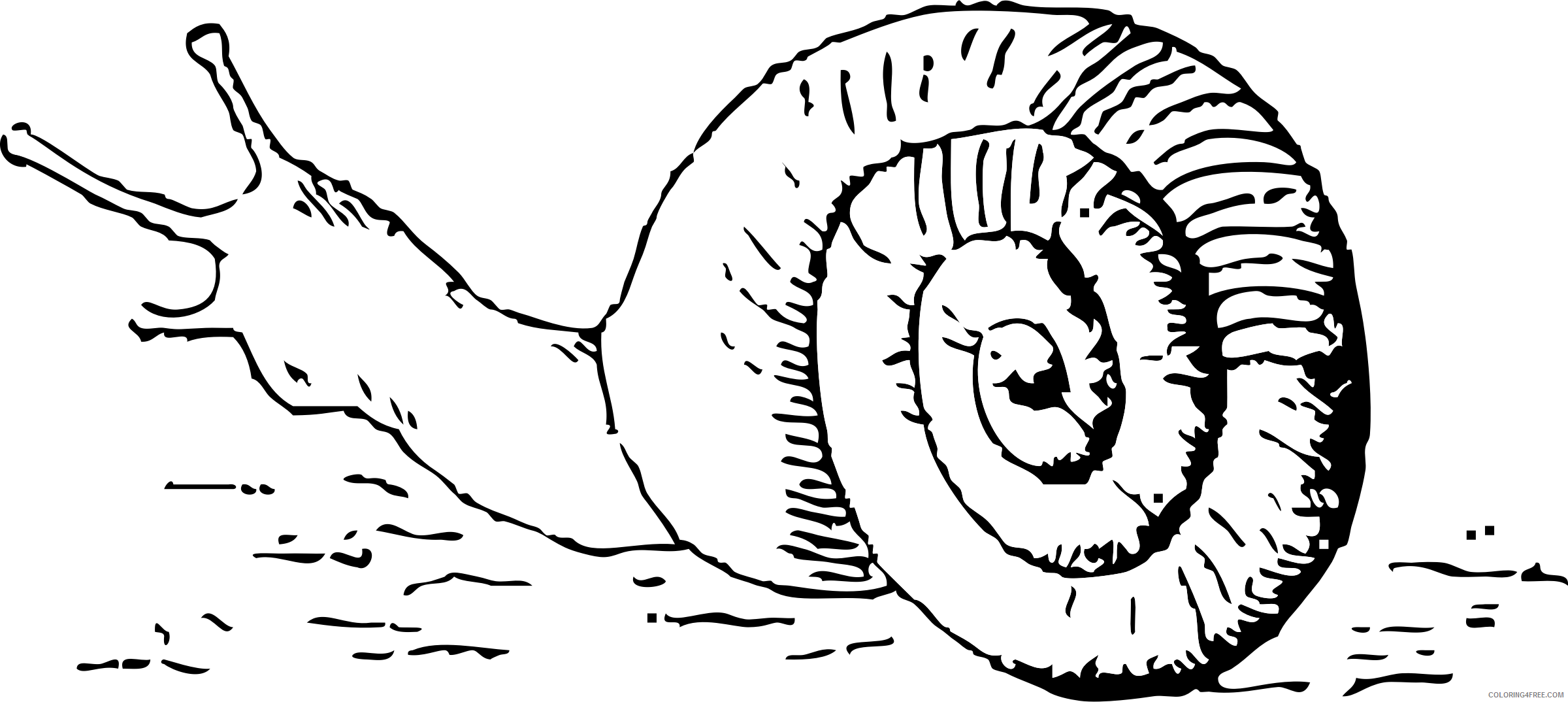 Black and White Snail Coloring Pages snail 1 Printable Coloring4free