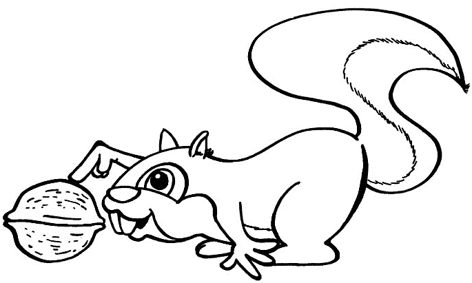 Black and White Squirrel Coloring Pages cute squirrel page Printable Coloring4free