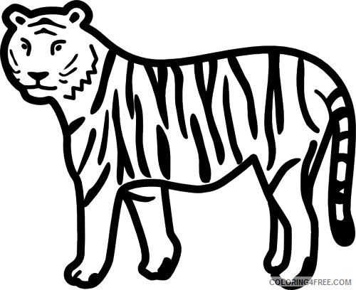 Black and White Tiger Coloring Pages tiger Printable Coloring4free