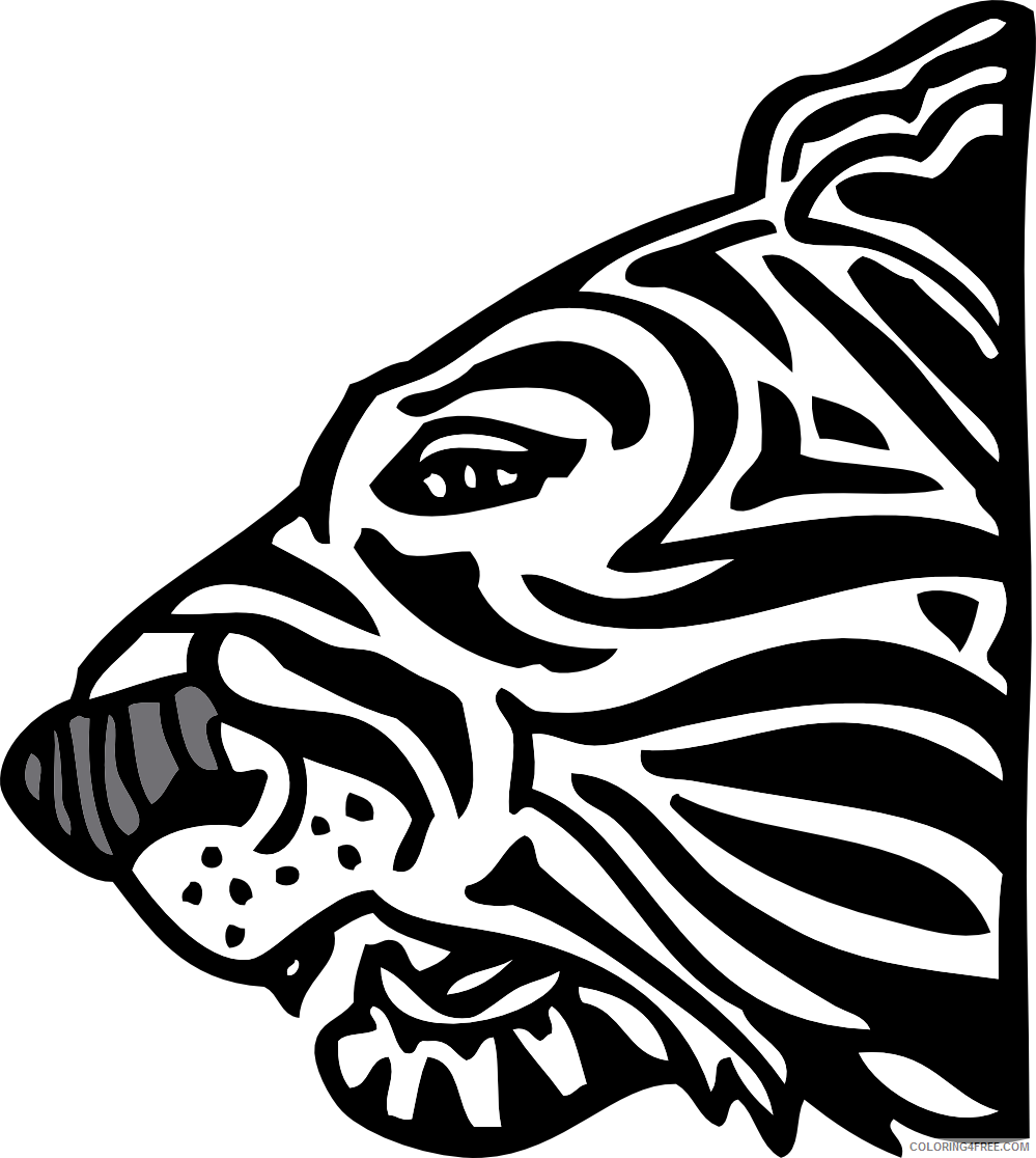 Black and White Tiger Coloring Pages tiger Printable Coloring4free