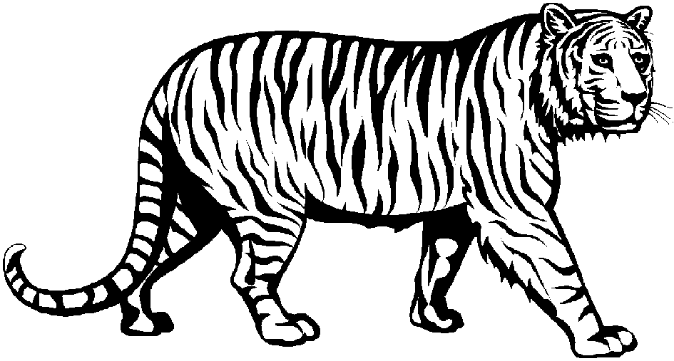 Black And White Tiger Coloring Pages Tiger Face Black Printable Coloring4free Coloring4free Com