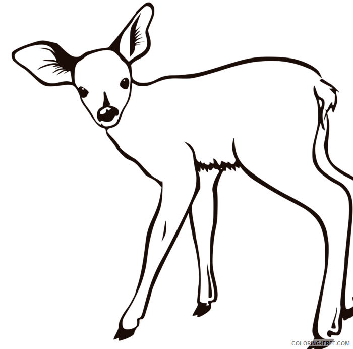 Buck Deer Coloring Pages buck deer cliparts Printable Coloring4free