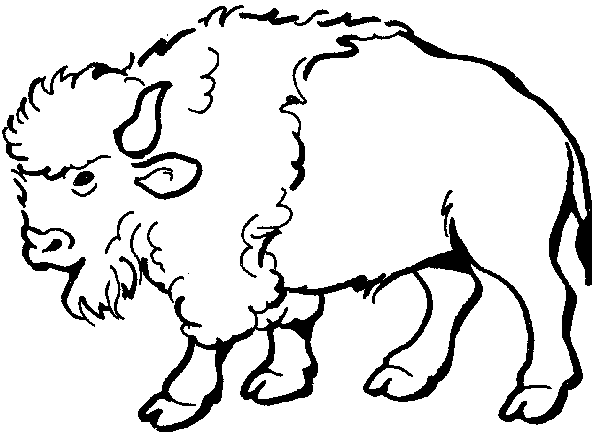 Buffalo Coloring Pages free buffalo and bison coloring Printable Coloring4free