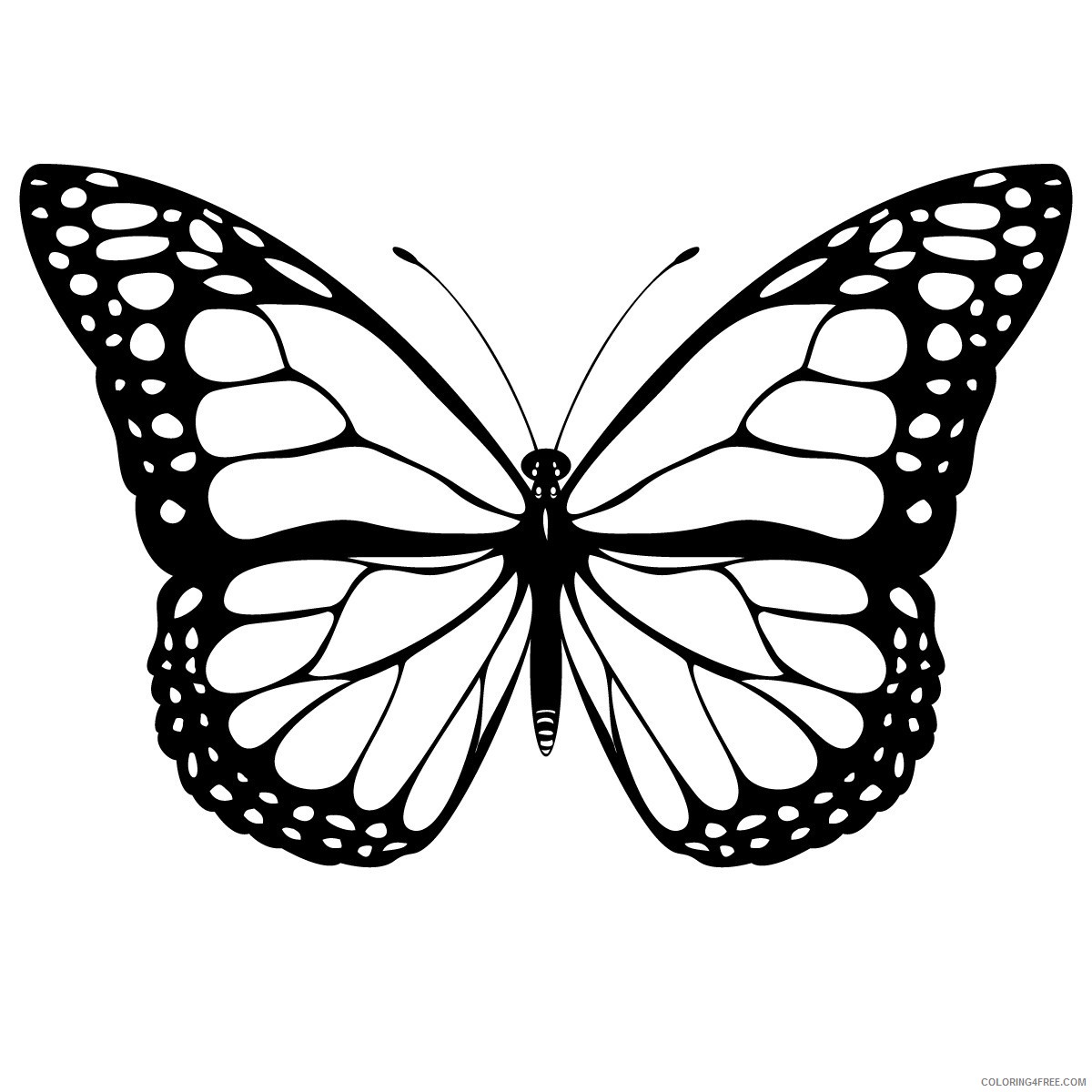 Butterfly Huge Coloring Pages 10 cool butterfly drawings free Printable Coloring4free