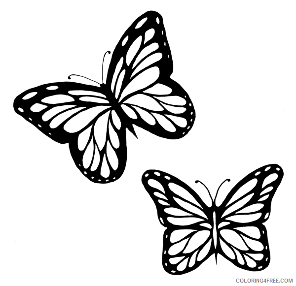 Butterfly Outline Coloring Pages butterfly flying outline Printable ...