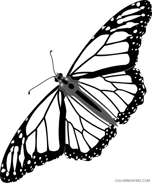 Butterfly Outline Coloring Pages butterfly flying outline Printable Coloring4free