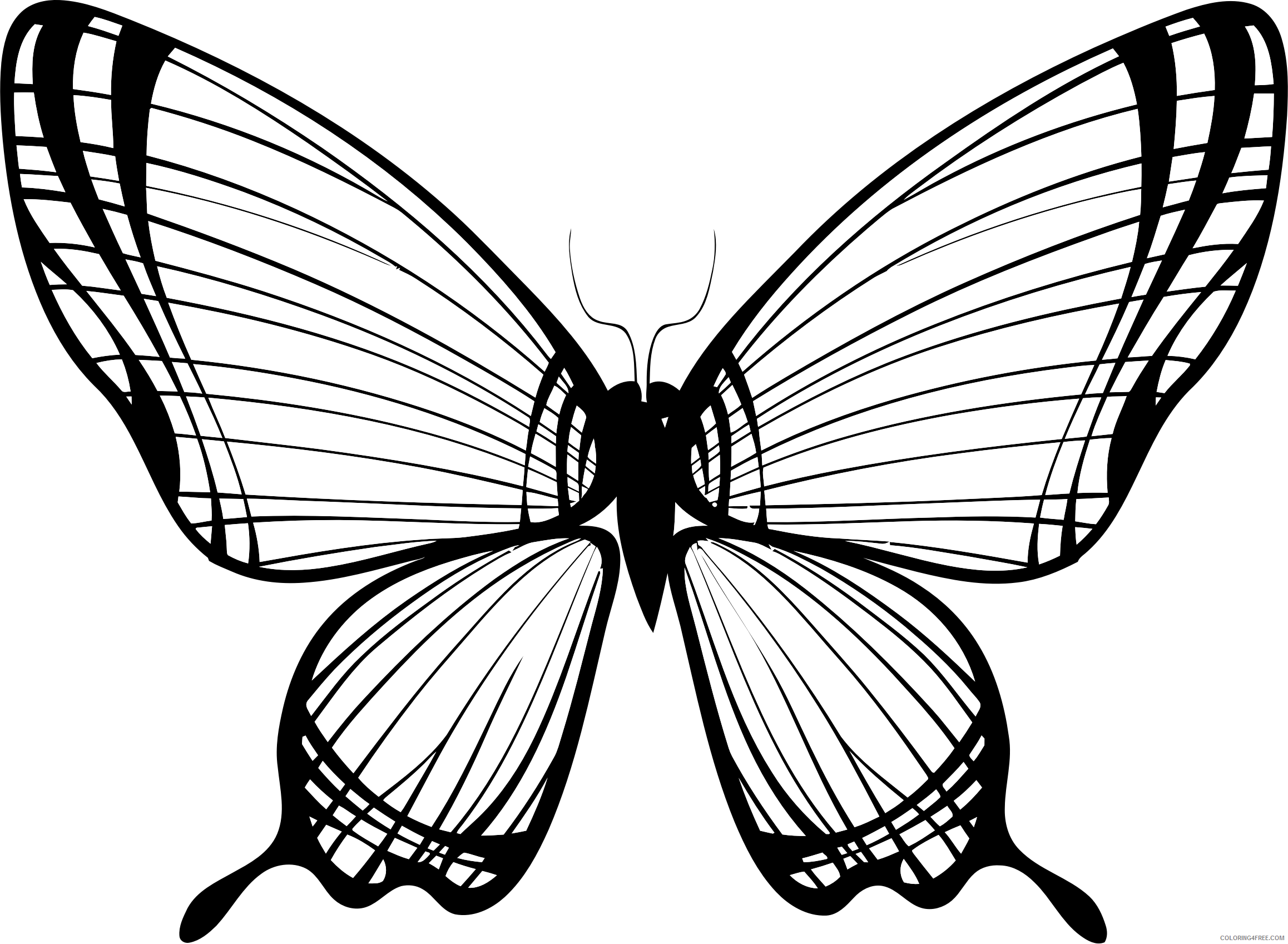 Butterfly Silhouette Coloring Pages butterfly silhouette 11 bpng Printable Coloring4free