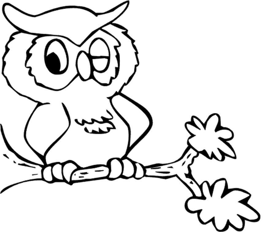 Cartoon Owl Coloring Pages cartoon owl cartoon Printable Coloring4free