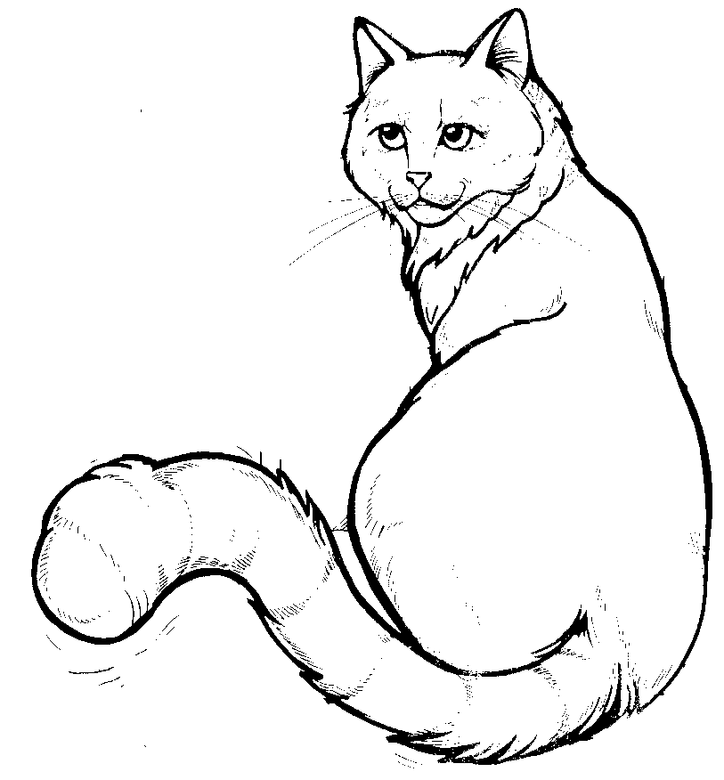 Cat Silhouette Coloring Pages cat silhouette cat Printable Coloring4free
