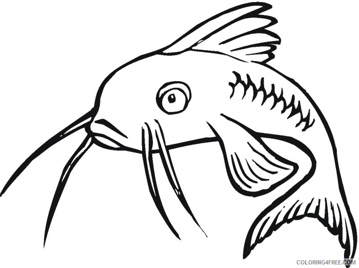 Catfish Coloring Pages catfish super 1 Printable Coloring4free