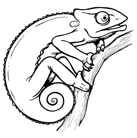 Chameleon Coloring Pages chameleon gif Printable Coloring4free
