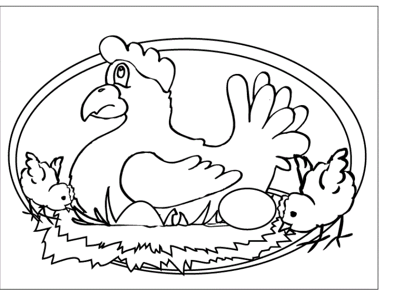 Chicken Coloring Pages animals 129 gif Printable Coloring4free