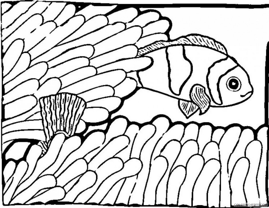 Clownfish Coloring Pages clownfish 20 jpg Printable Coloring4free