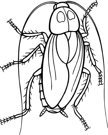 Cockroach Coloring Pages cockroach 12 gif Printable Coloring4free