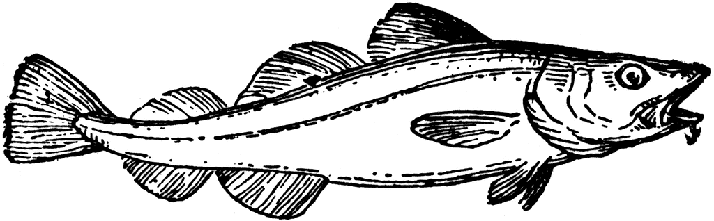 Cod Fish Coloring Pages cod fish 1 jpg Printable Coloring4free