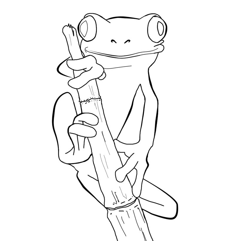 Coloring Pages Frog Coloring Pages free frog to Printable Coloring4free