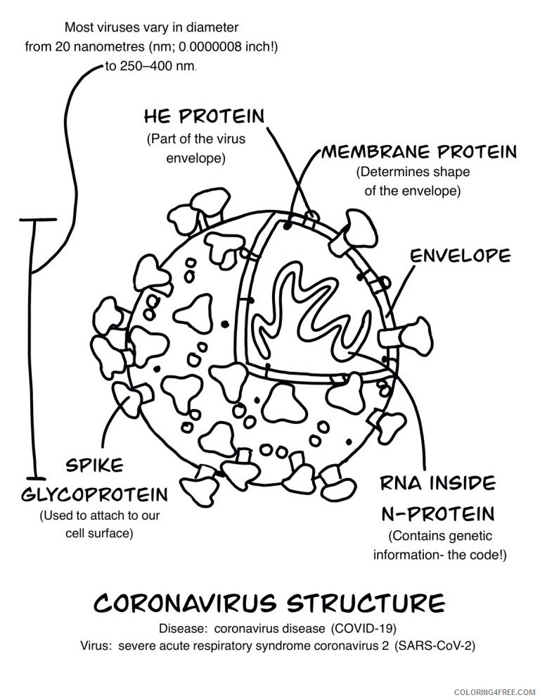 Corona Virus Covid 19 Informative Coloring Pages Coronavirus 2020 Printable Coloring4free