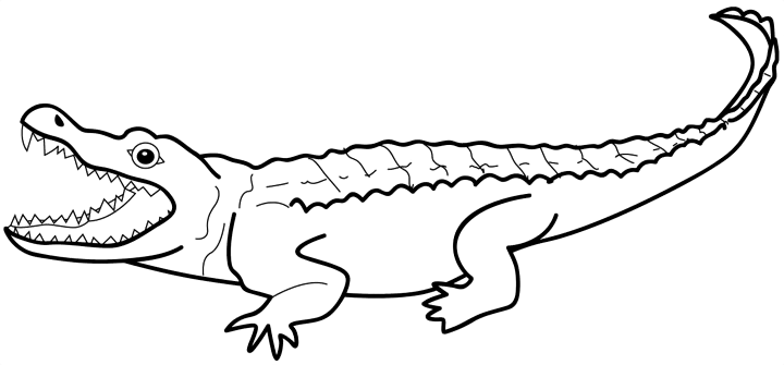 Crocodile Coloring Pages crocodile 71 gif Printable Coloring4free