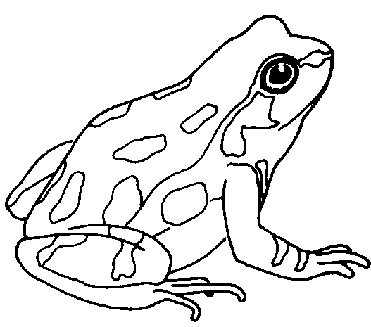 Cute Frog Coloring Pages cute frog black Printable Coloring4free