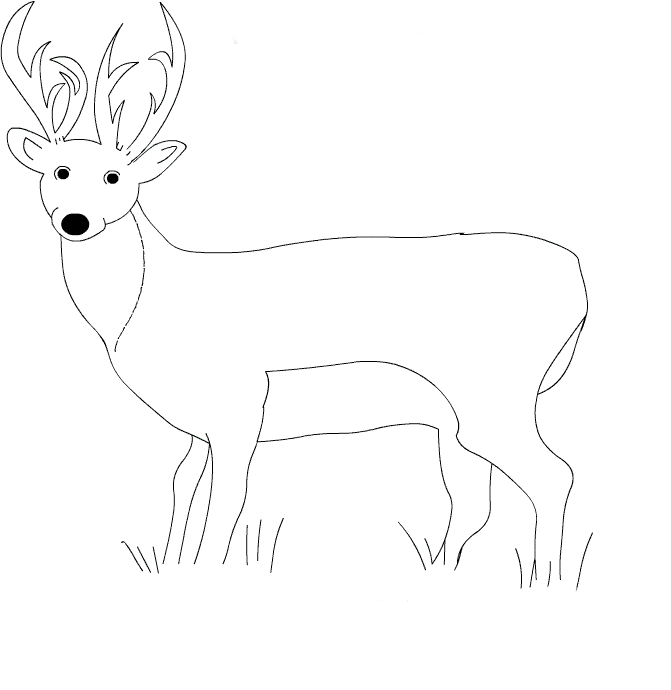 Deer Coloring Pages deer 2 gif Printable Coloring4free