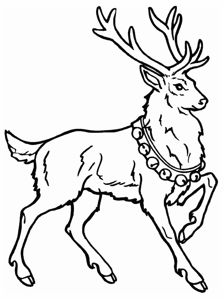 Deer Coloring Pages deer 8 gif Printable Coloring4free